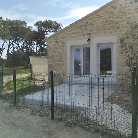 Appartement Meuble Et Tout Confort, Au Milieu De La Campagne 圣保罗三堡 外观 照片